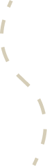 Vector decoration